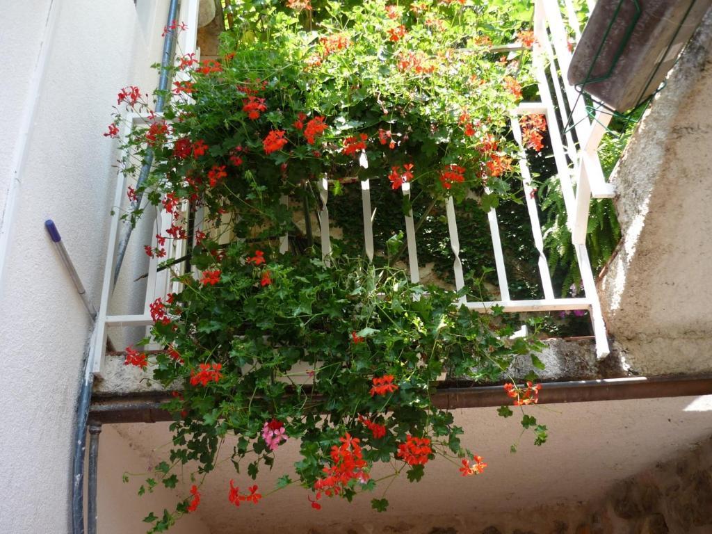 B&B Villa Dubrovnik Garden Bagian luar foto